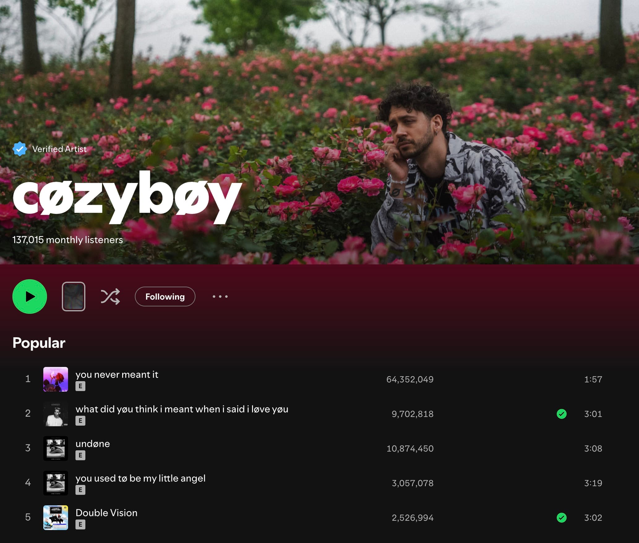 cøzybøy's Spotify